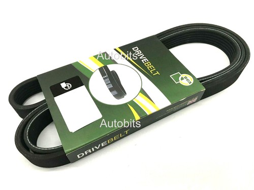 Bga drive belt for ford - bga, focus