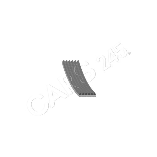 Febi ribbed belt for - belt,