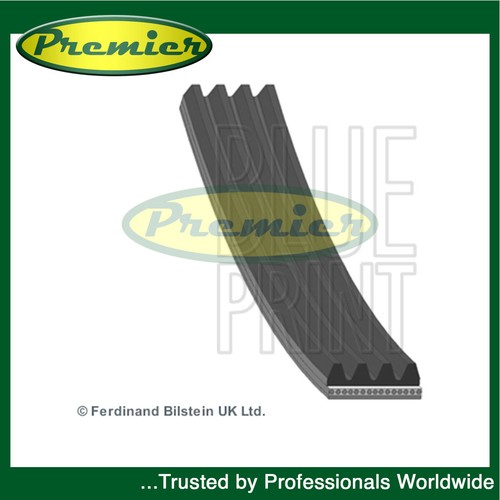 Premier alternator belt - premier,
