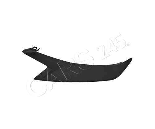 Bumper moulding fits - bumper, n/s