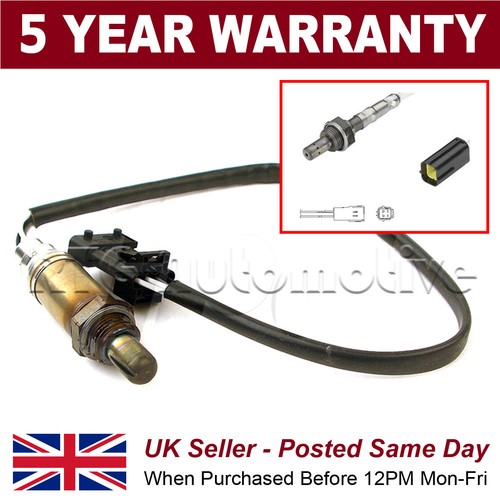 Rear wire oxygen - rear,