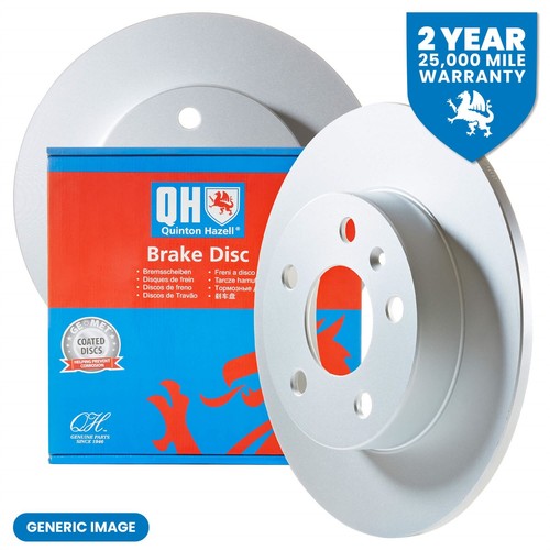 Pair rear brake discs - pair,